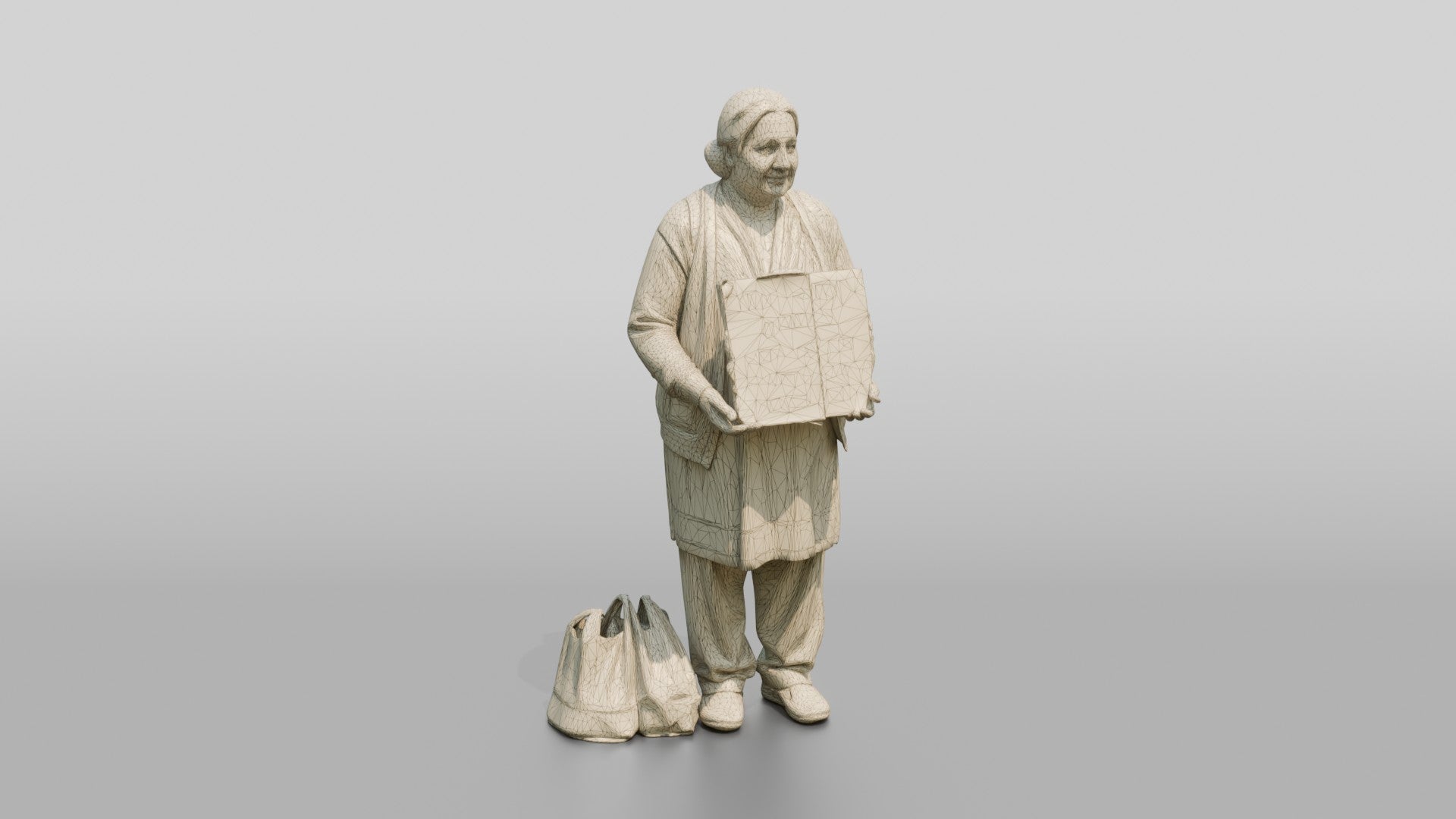 Homeless Woman Holding a Sign Looking for Shelter