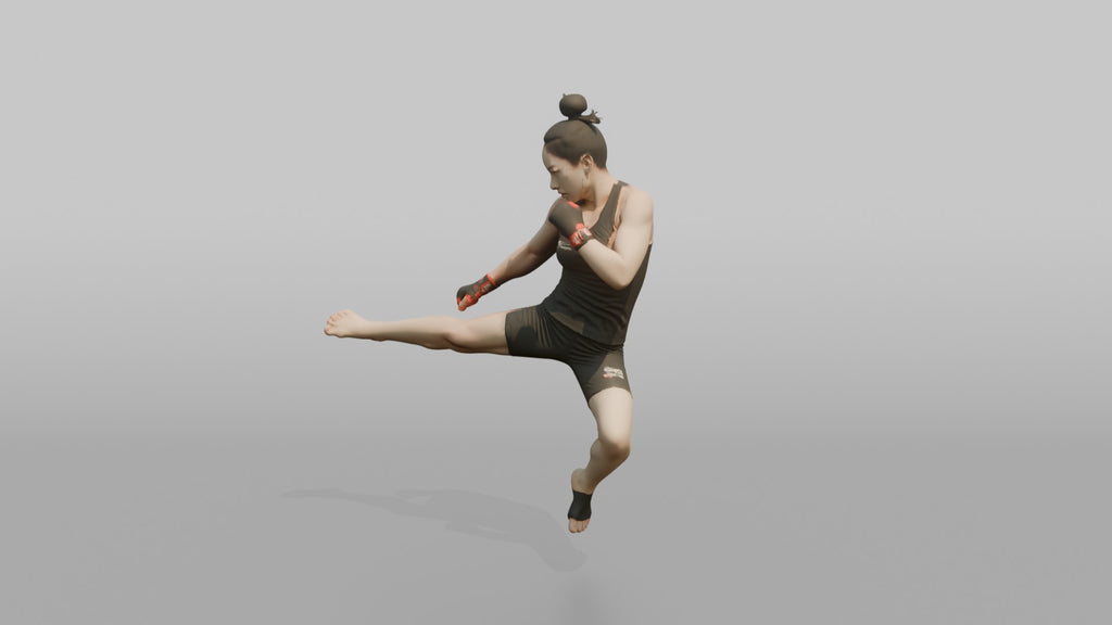 Taekwondo Fighter Jumping Spinning Hook Kick