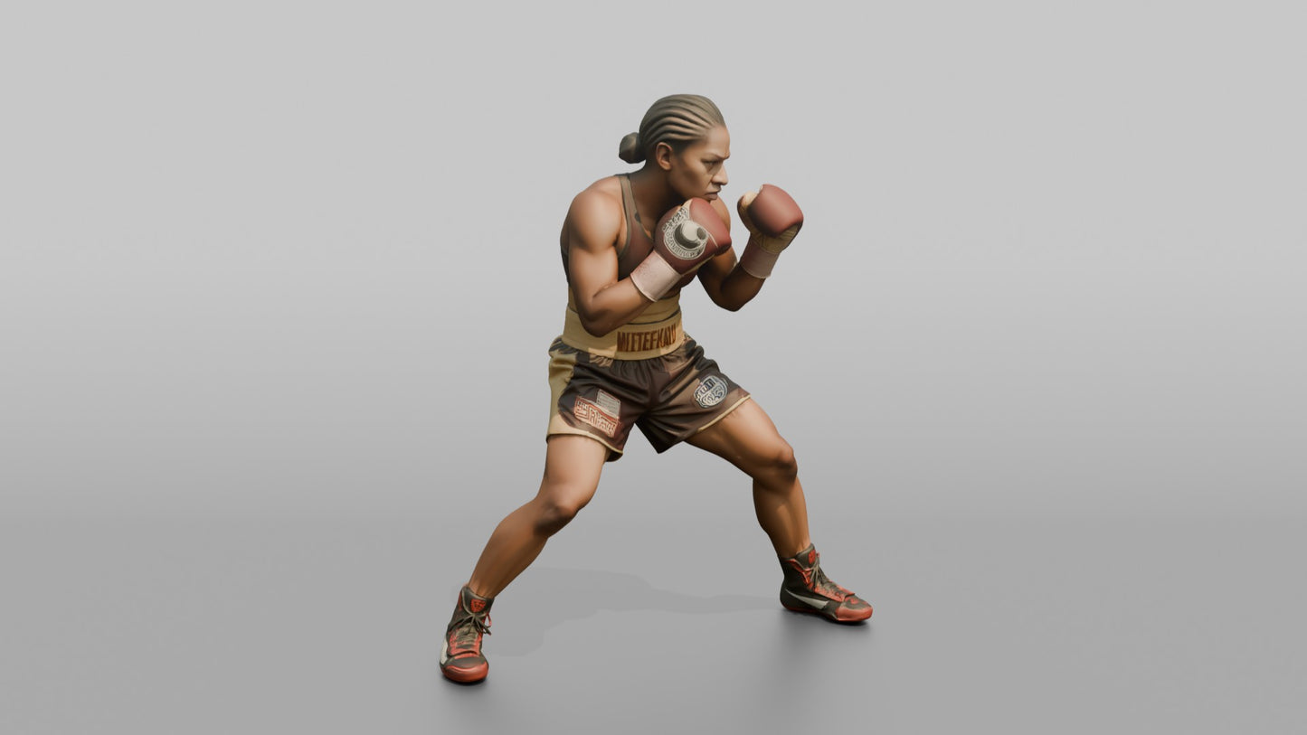 Boxer Heavy Body Hook