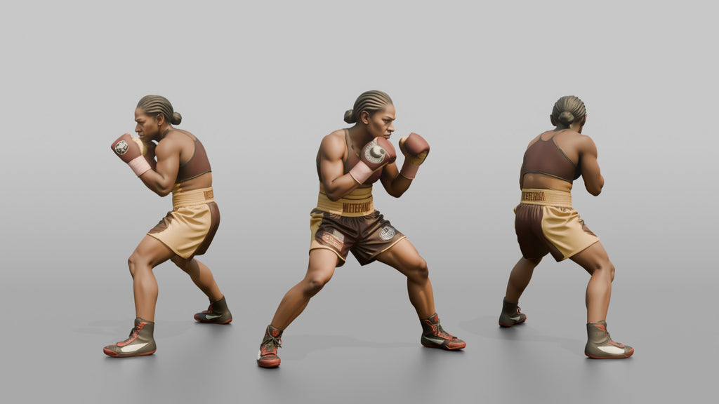 Boxer Heavy Body Hook