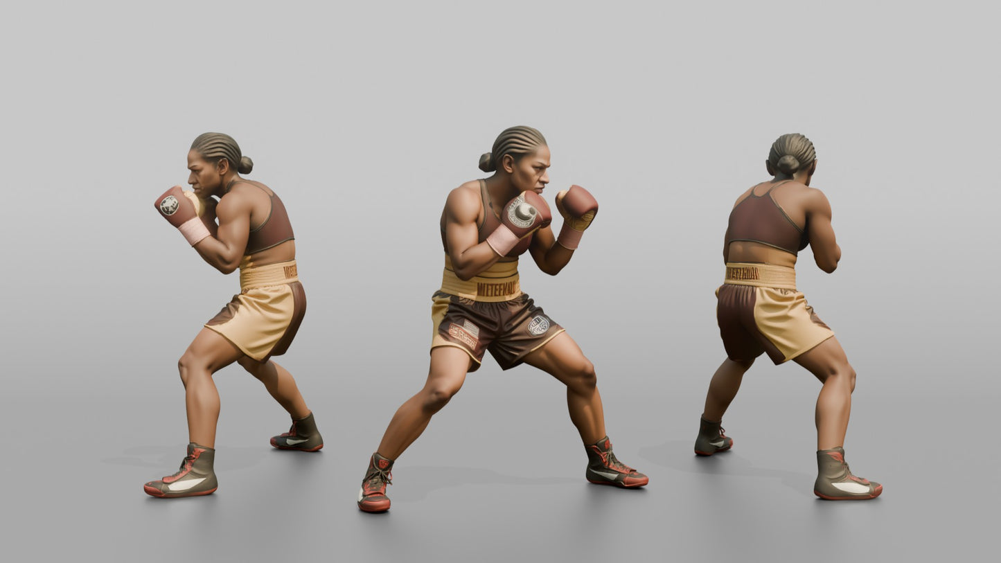 Boxer Heavy Body Hook