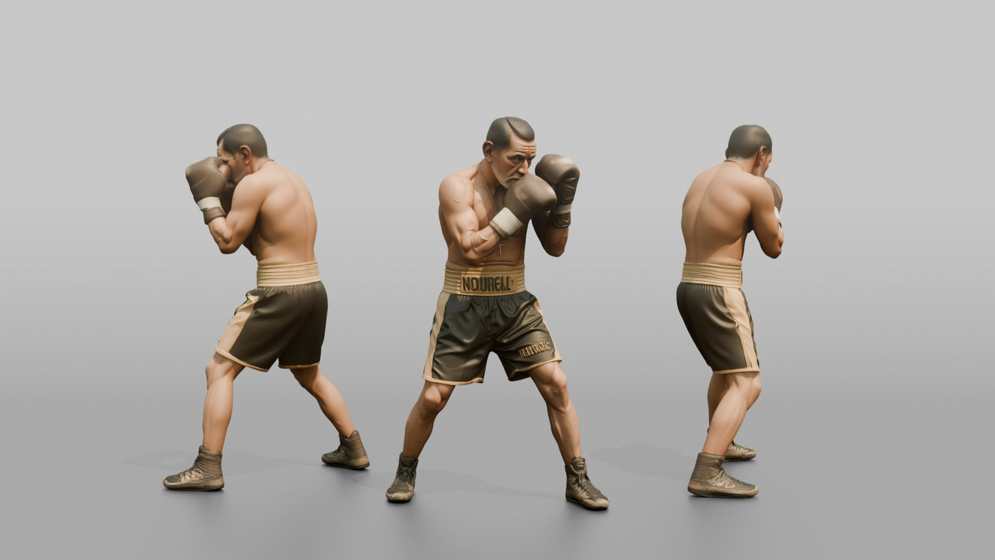 Boxer Tight High-guard Defense Position