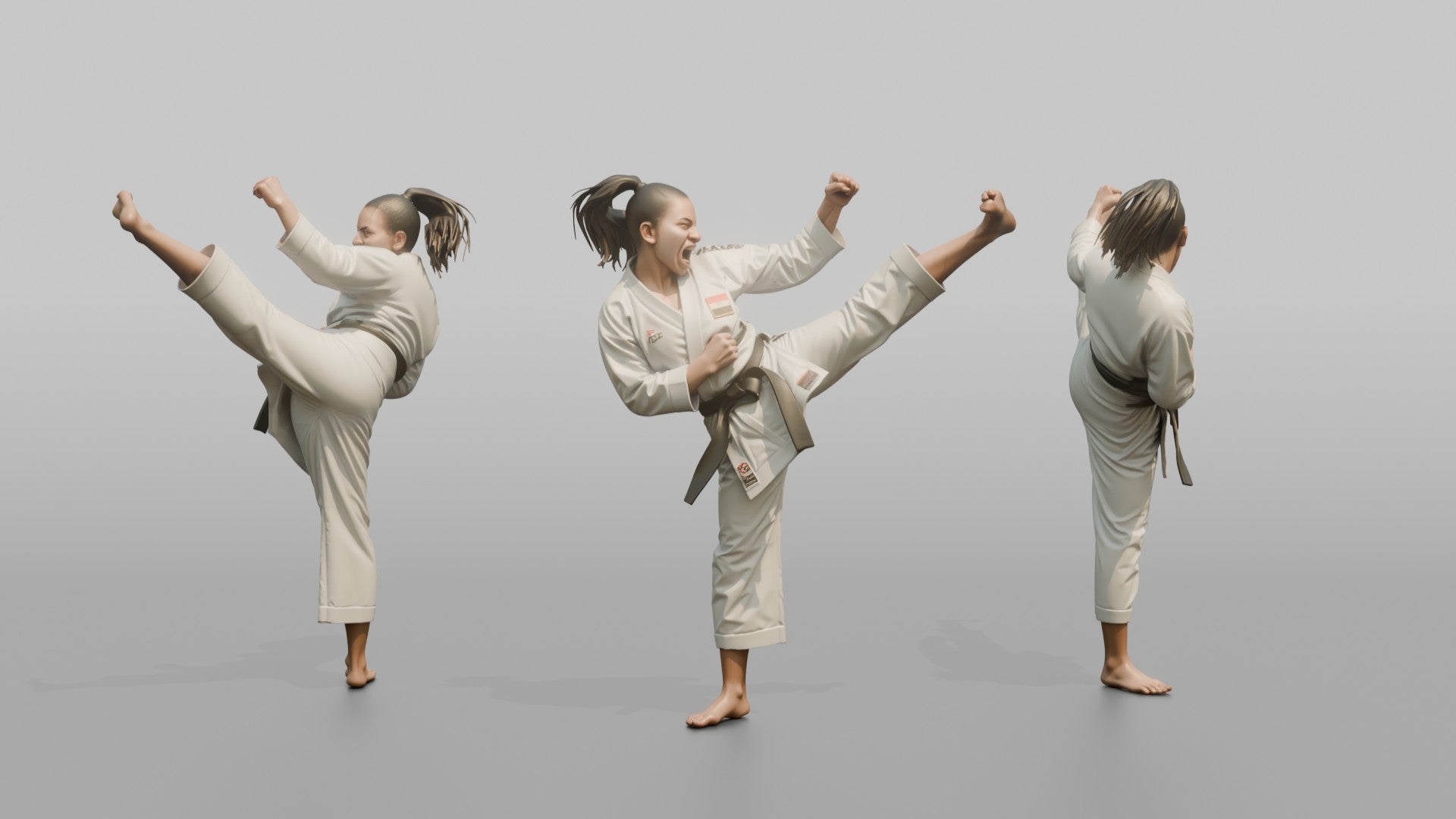 Karate Fighter High Snap Kick
