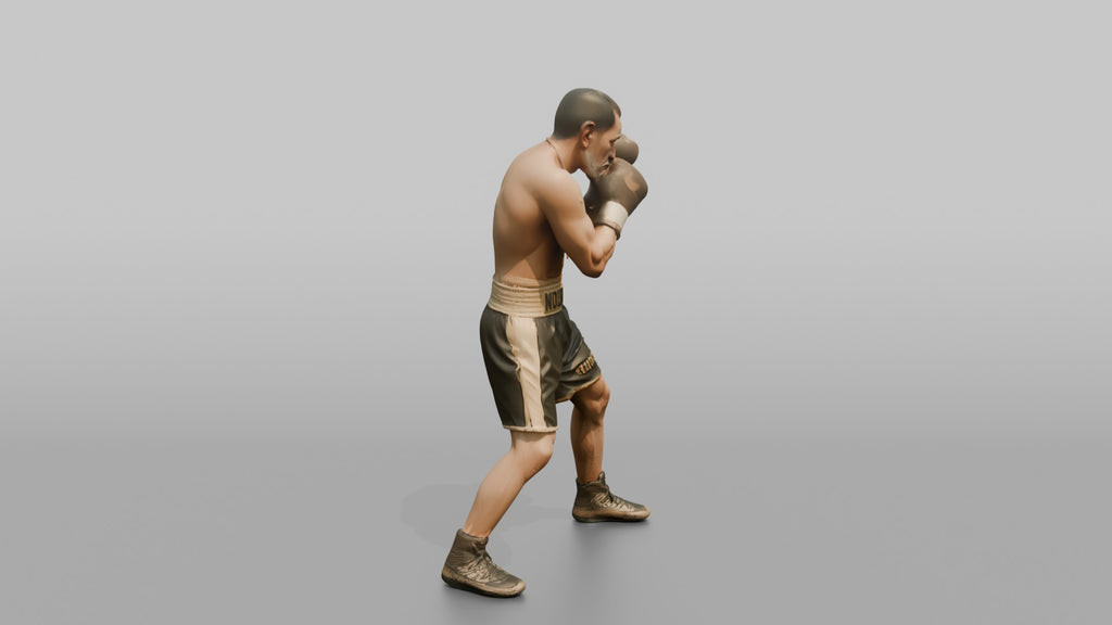 Boxer Tight High-guard Defense Position