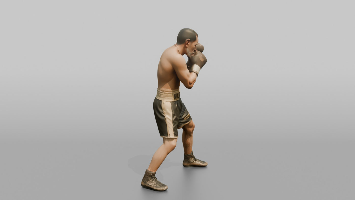 Boxer Tight High-guard Defense Position