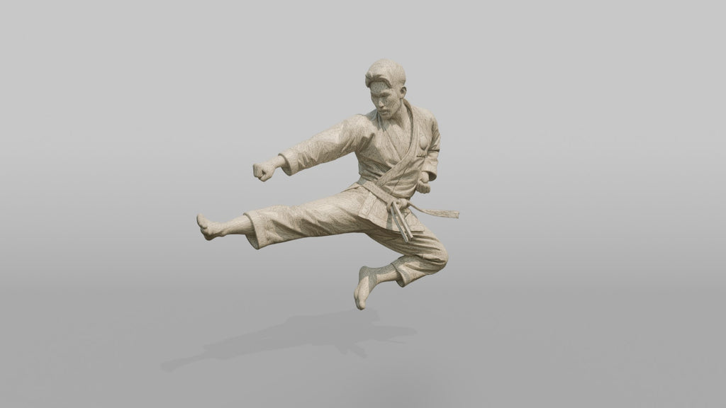 Karate Master Sharp Mid-air Flying Side Kick