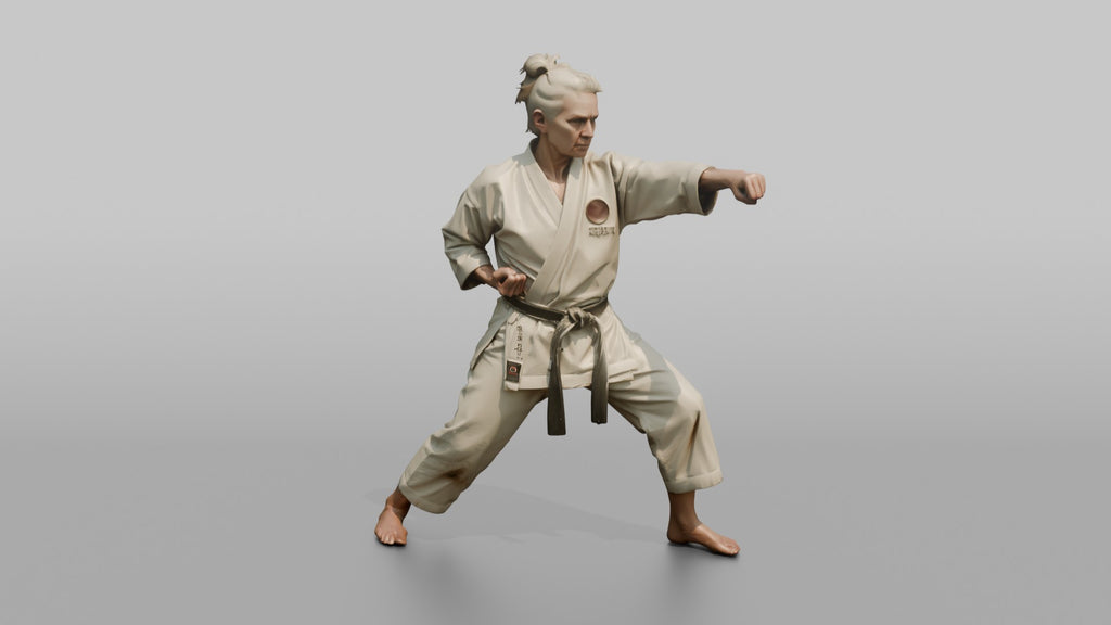 Karate Sensei Explosive Reverse Punch