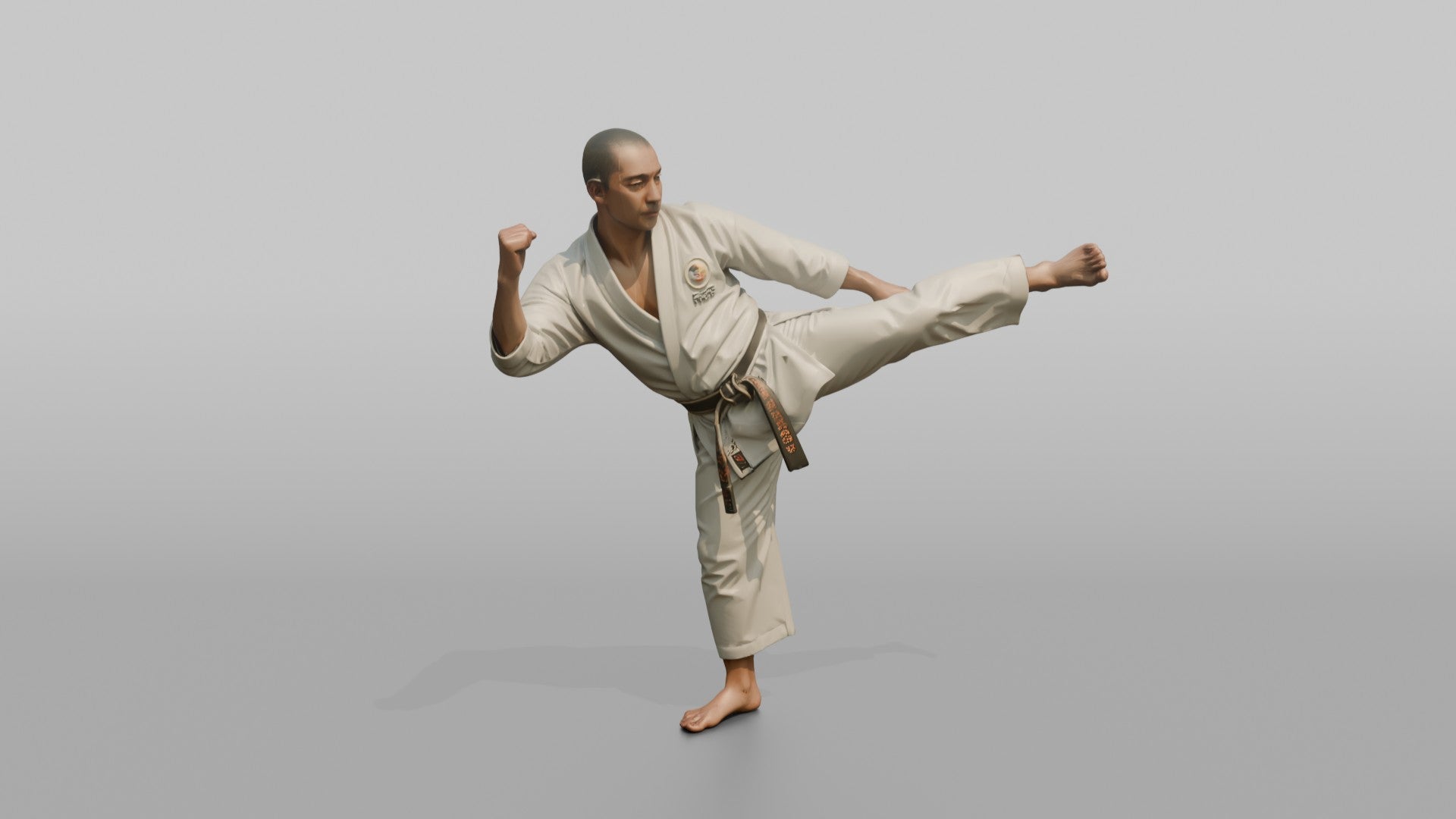 Karate Fighter Spinning Back Kick