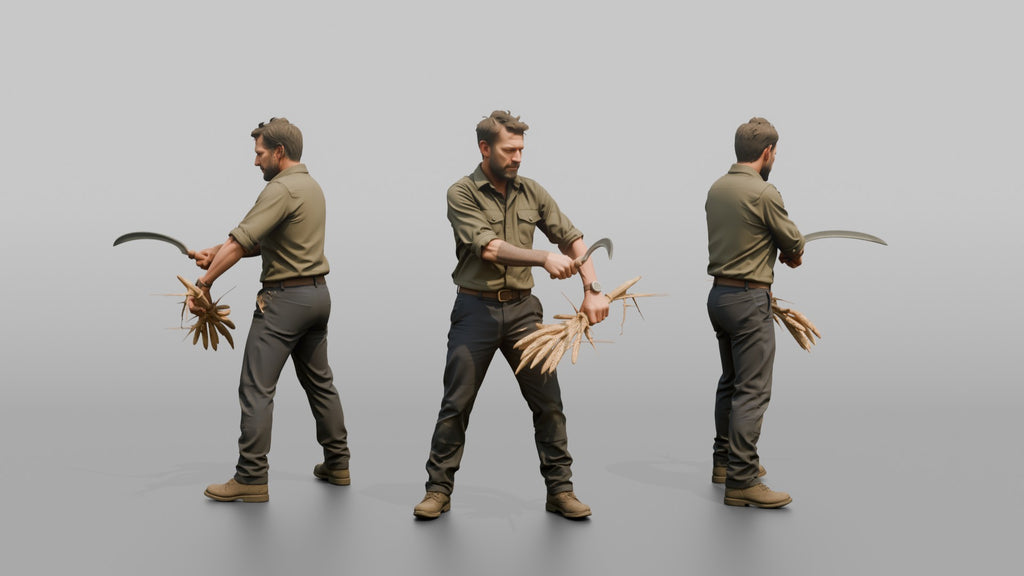 Farmer Slicing Wheat Stalks Hand Sickle