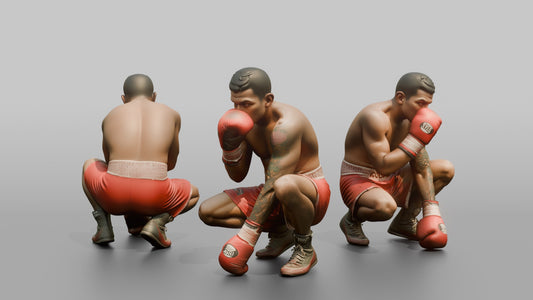 Boxer Peek-a-boo Defensive Guard - 3D character model