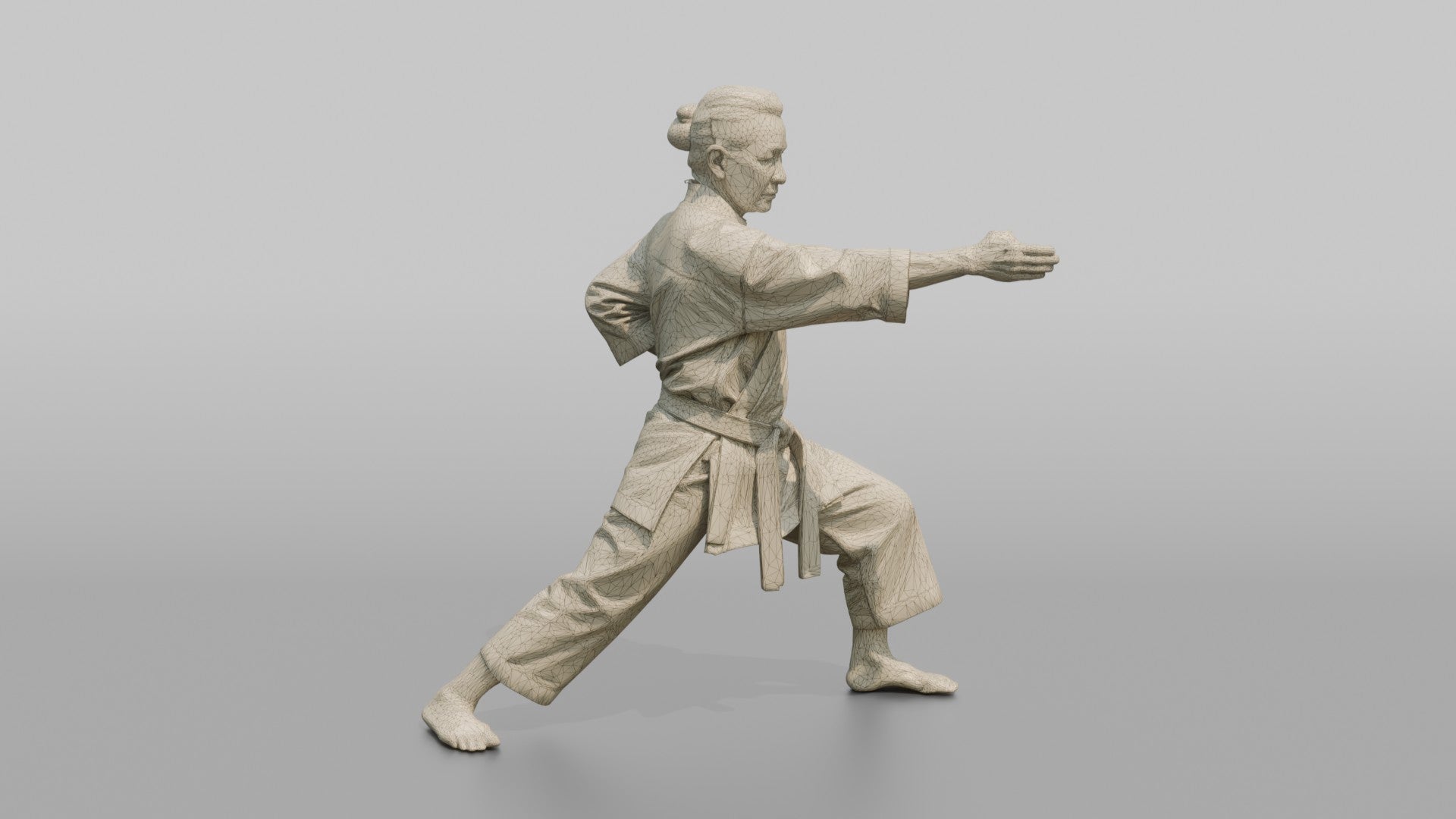 Karate Fighter Precise Spear-hand Strike