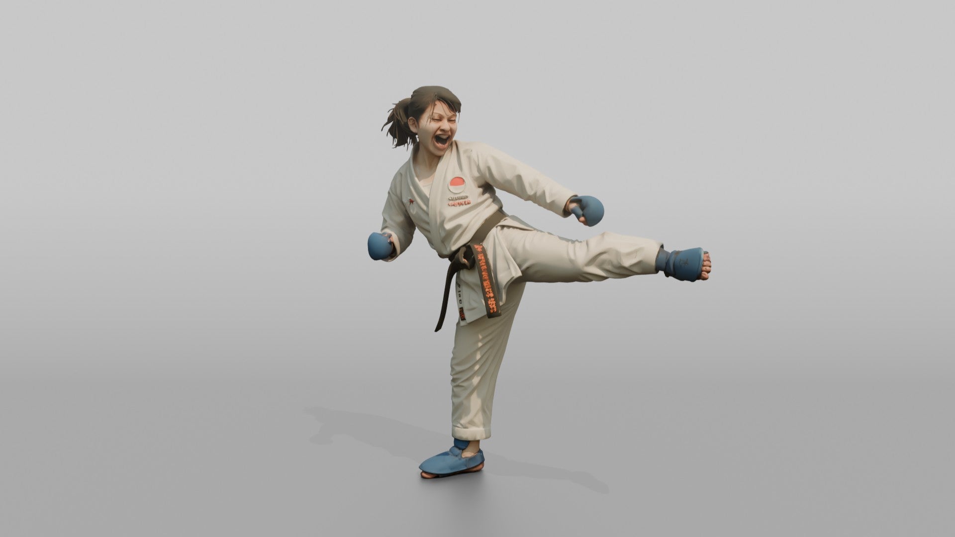 Karate Fighter Explosive Roundhouse Kick to the Torso