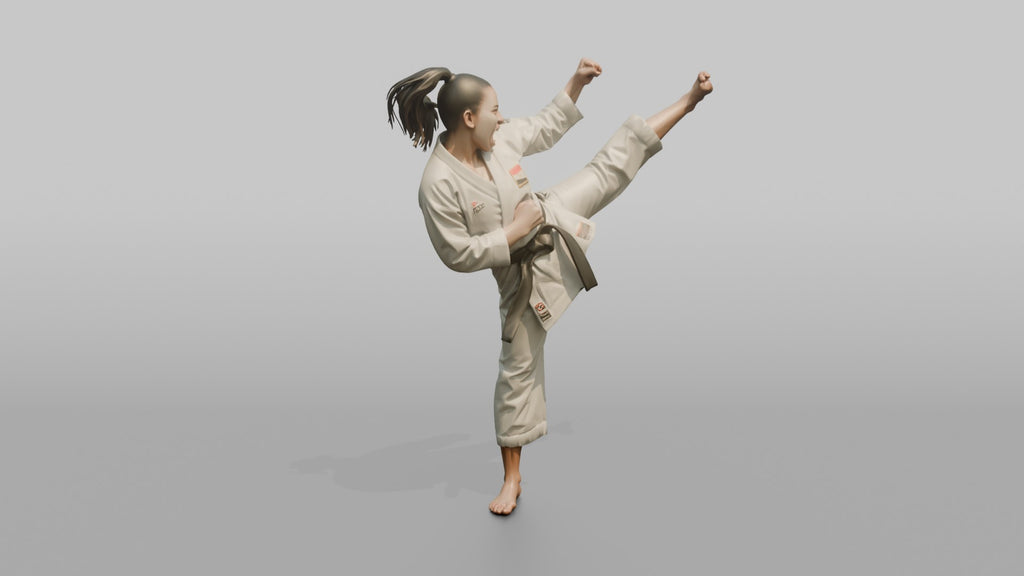 Karate Fighter High Snap Kick