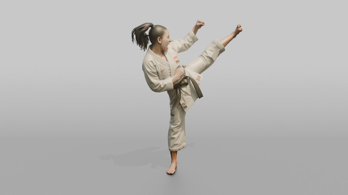Karate Fighter High Snap Kick - 3D character model, view 1