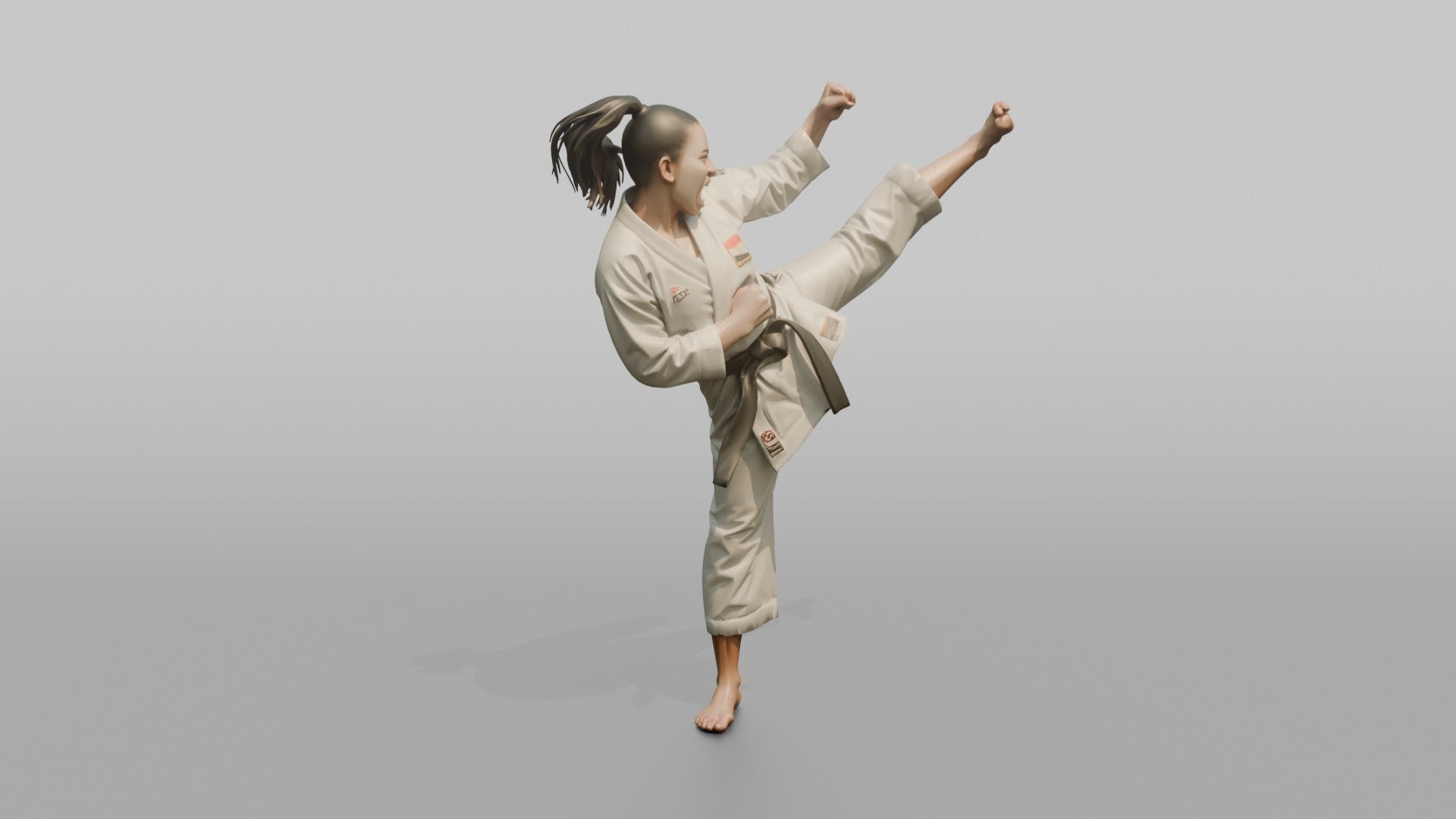 Karate Fighter High Snap Kick
