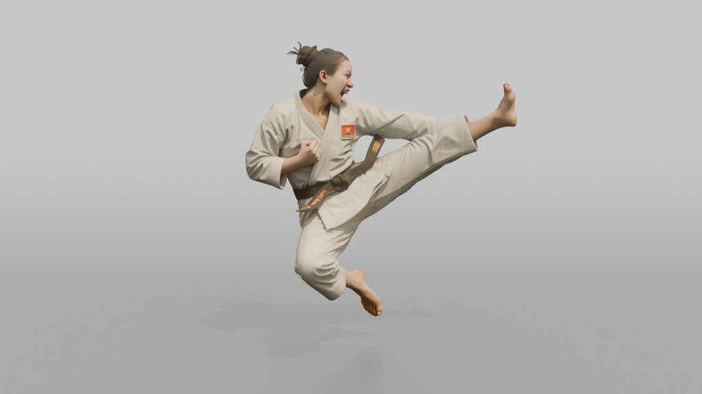 Karate Fighter Double Front Kick