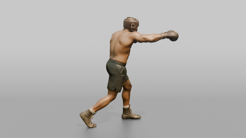 Boxer Measured Left Jab