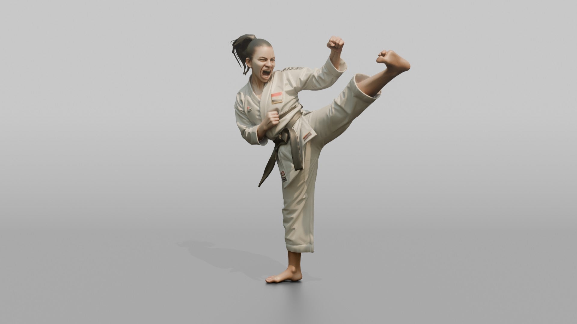 Karate Fighter High Snap Kick