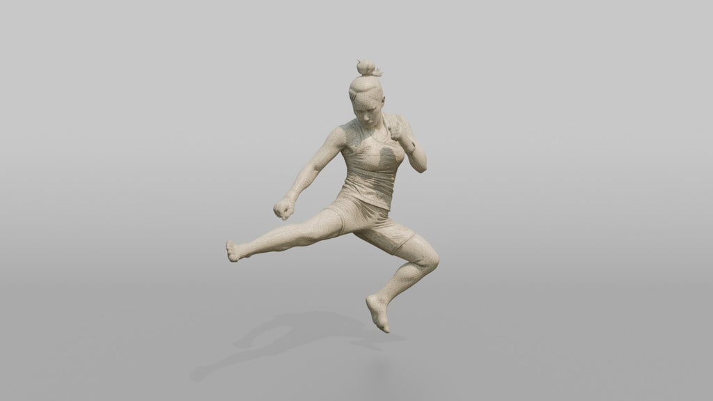 Taekwondo Fighter Jumping Spinning Hook Kick