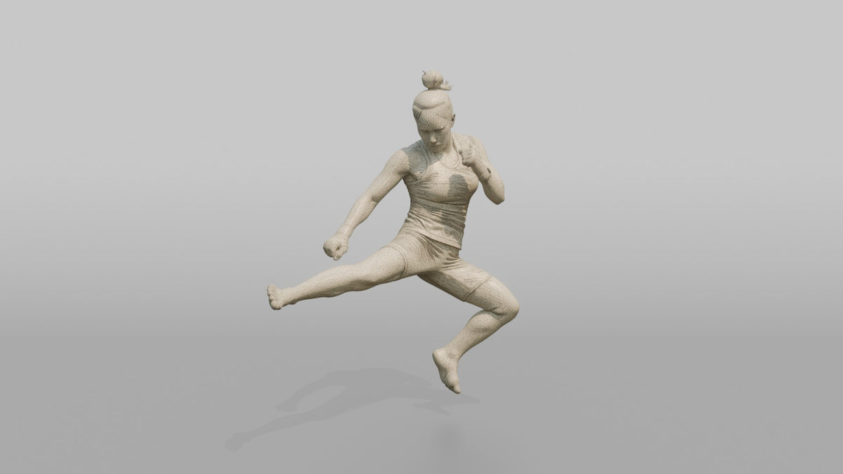 Taekwondo Fighter Jumping Spinning Hook Kick - wireframe topology preview
