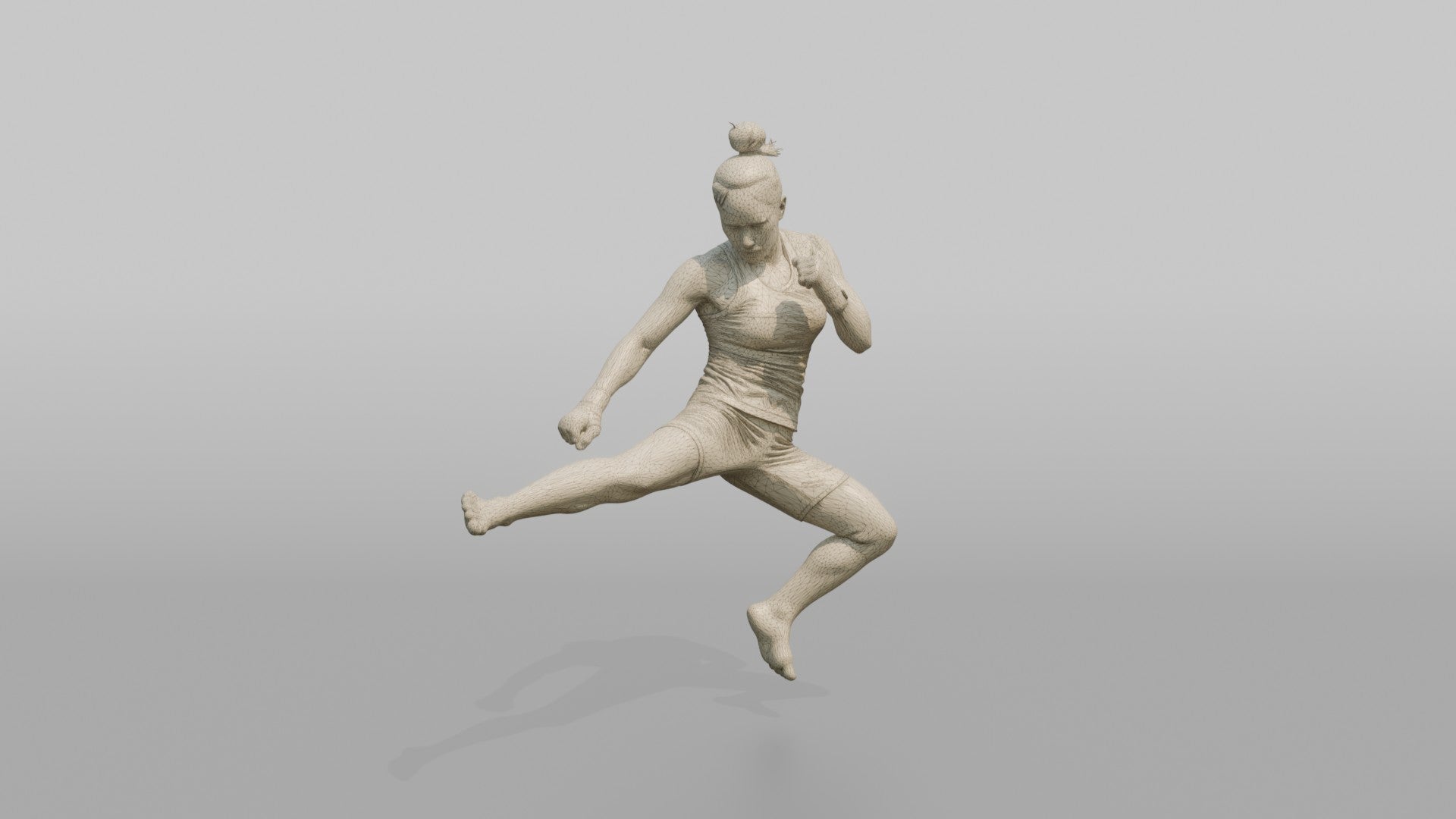 Taekwondo Fighter Jumping Spinning Hook Kick