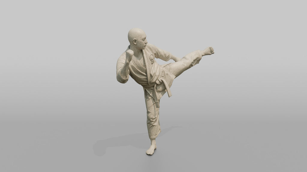 Karate Fighter Spinning Back Kick