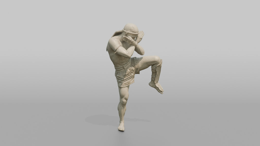 Muay Thai Fighter Shinguard Check and Forearm Block