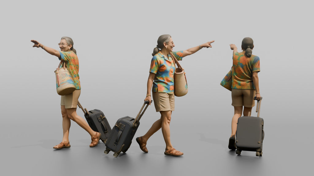 Traveler Pointing Toward The Gate
