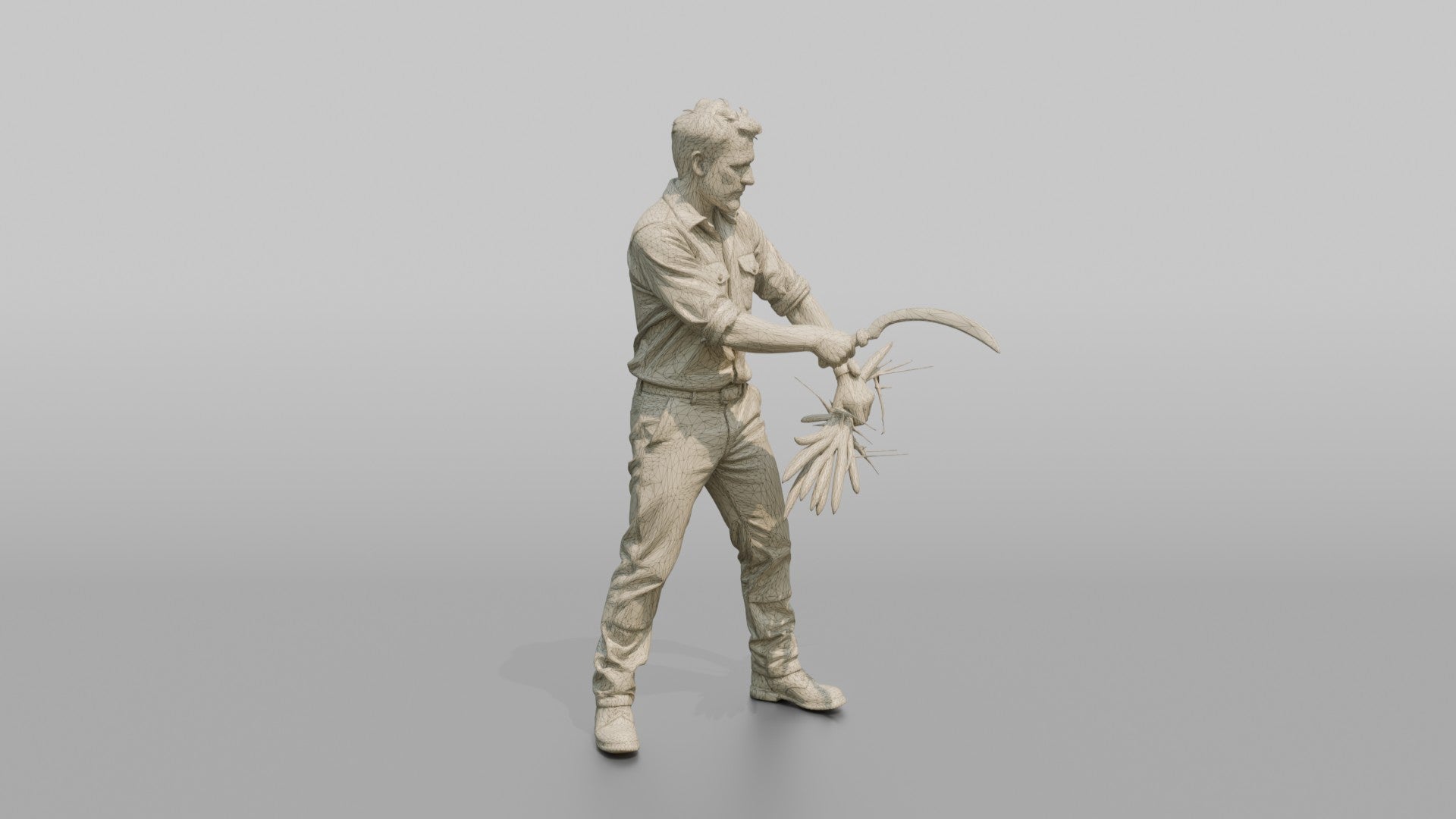 Farmer Slicing Wheat Stalks Hand Sickle