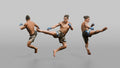 MMA Fighter Spinning Heel Kick