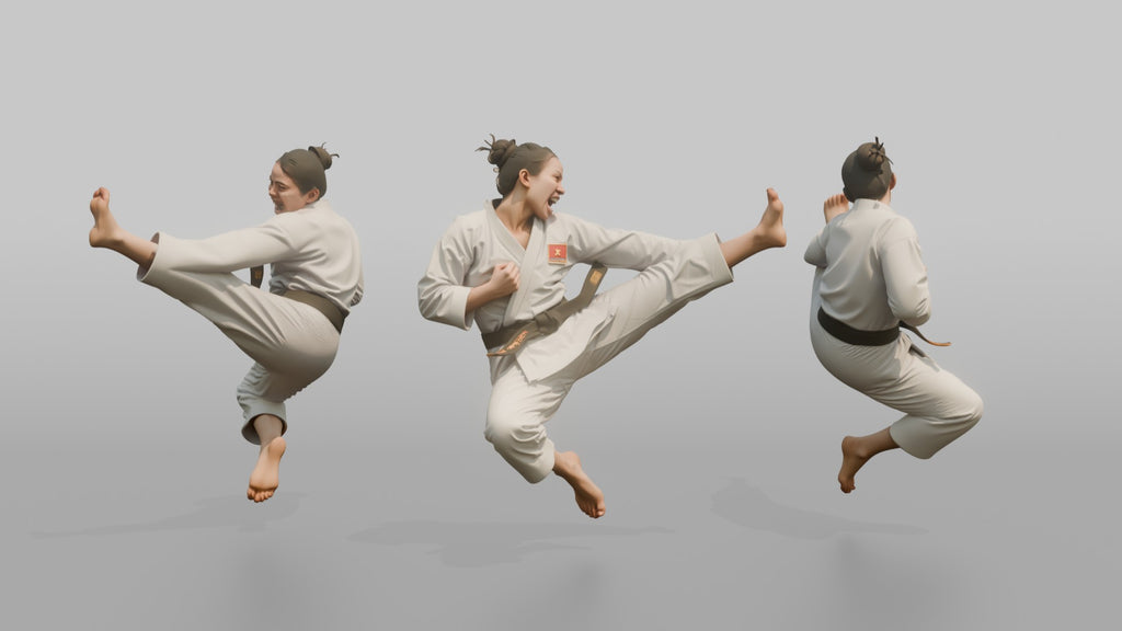 Karate Fighter Double Front Kick