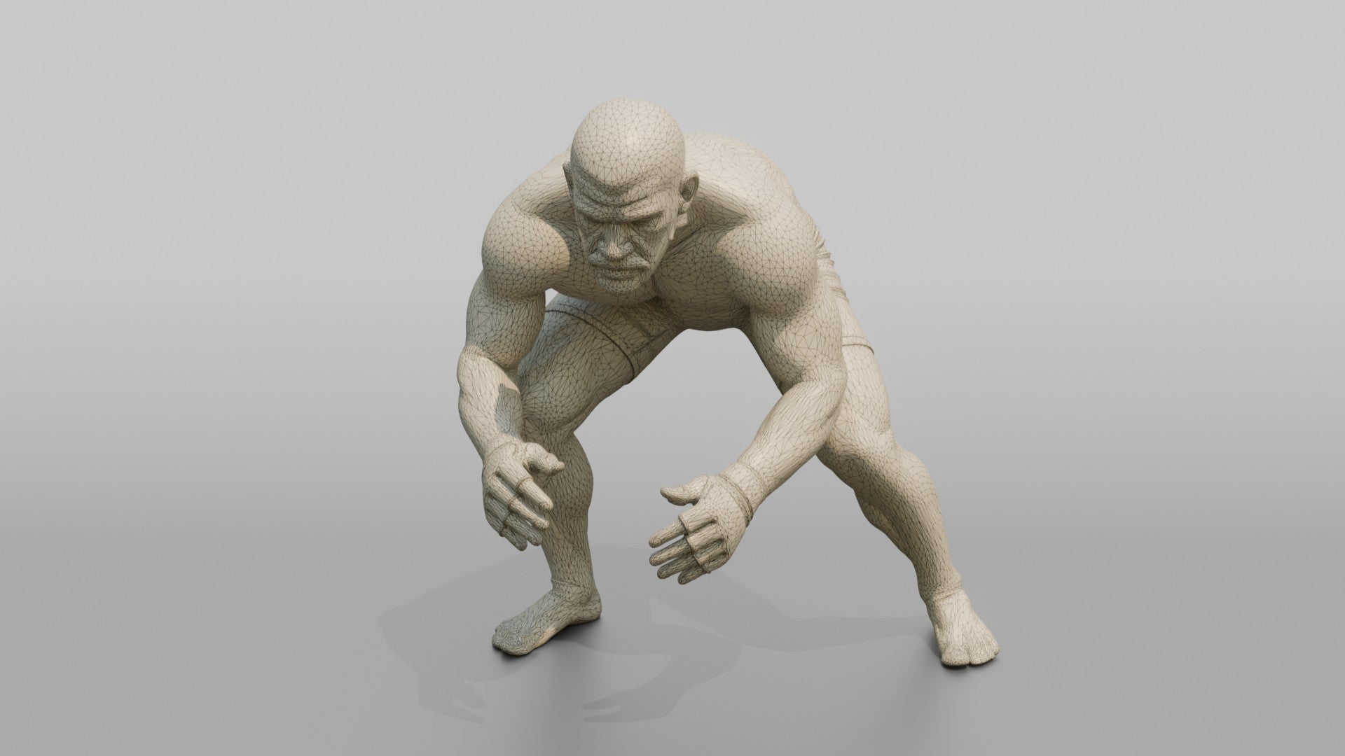 BJJ Fighter Predatory Low Wrestling Stance