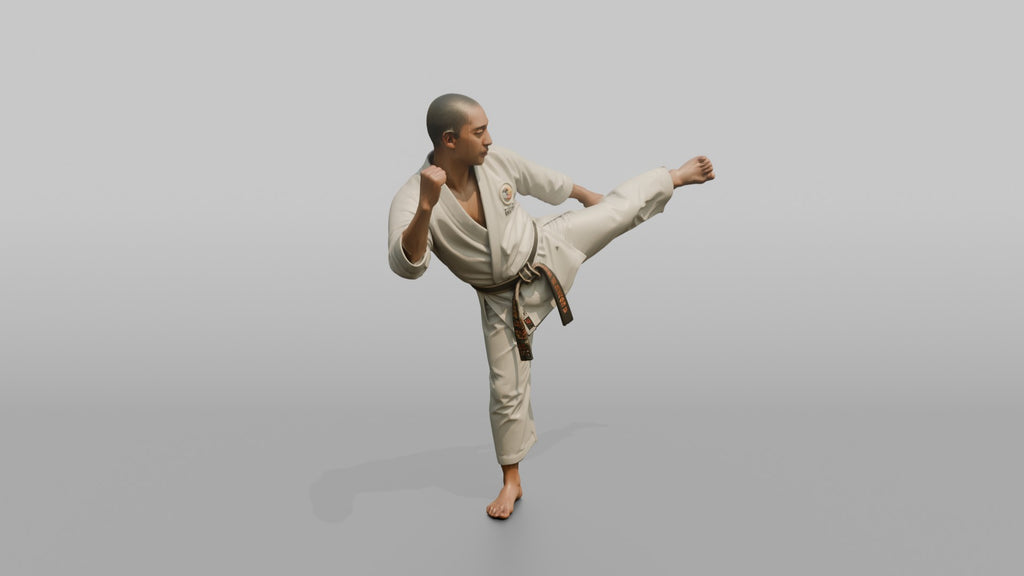 Karate Fighter Spinning Back Kick