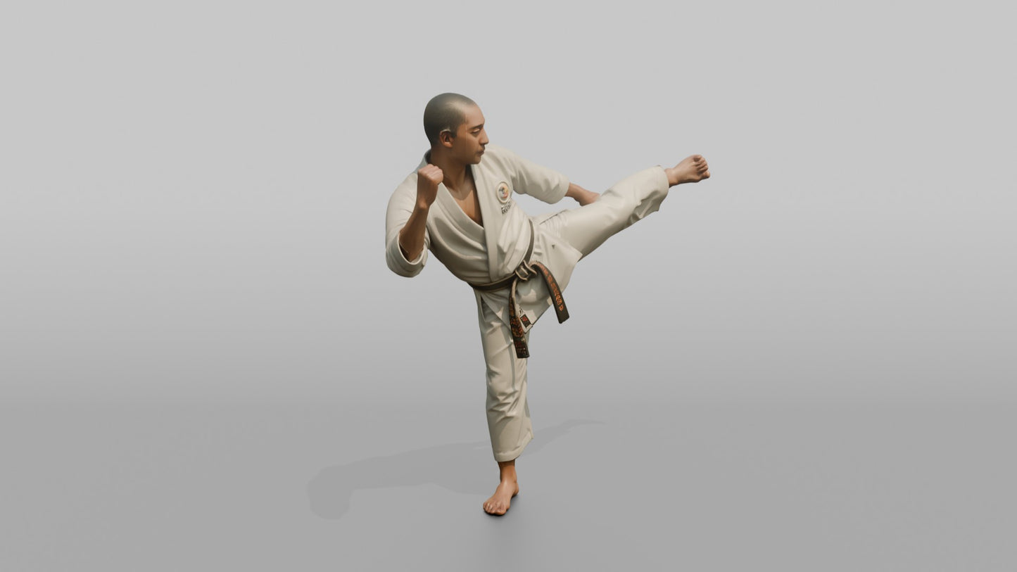 Karate Fighter Spinning Back Kick