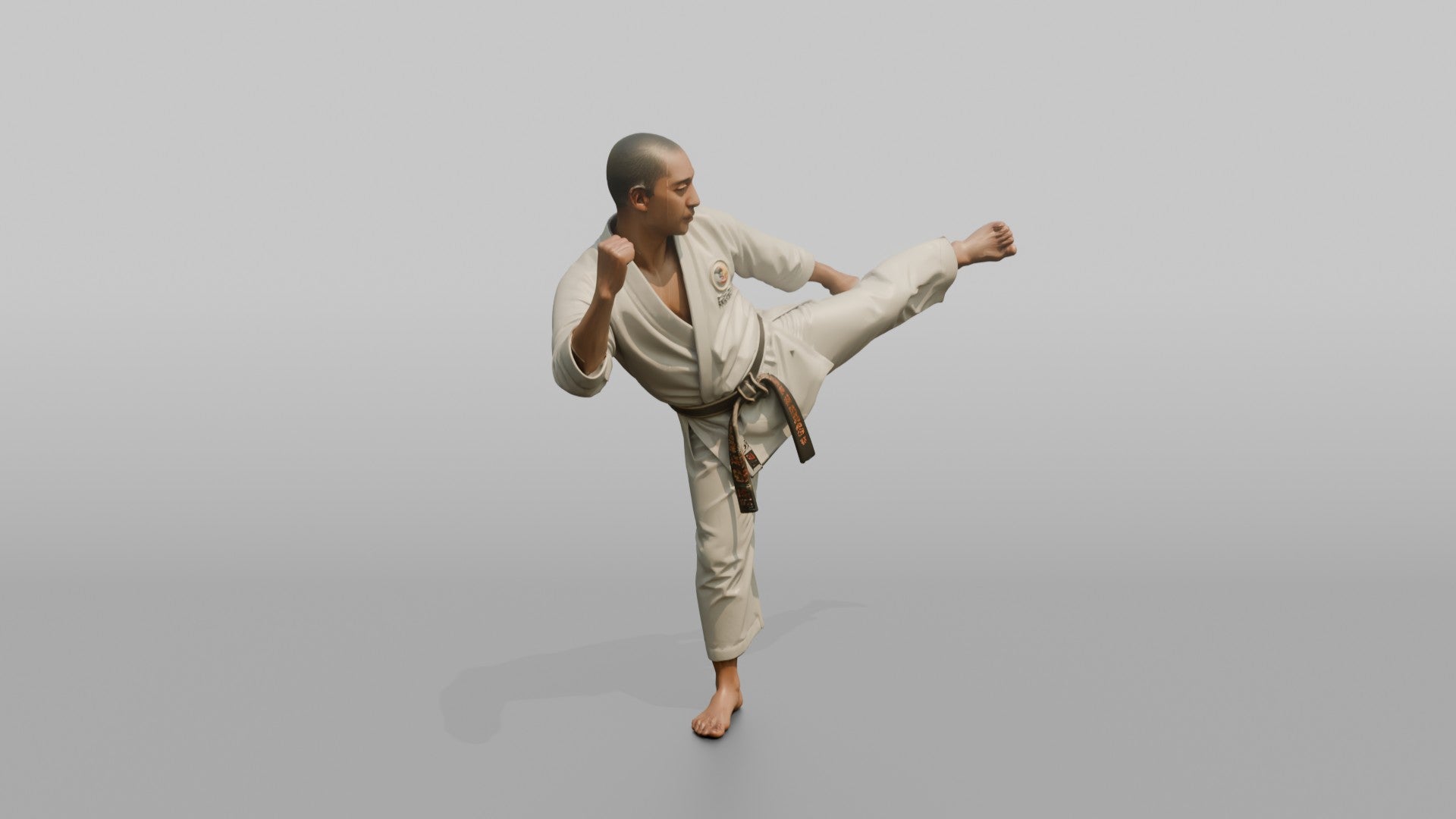 Karate Fighter Spinning Back Kick
