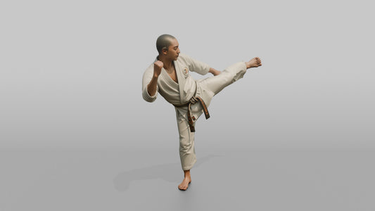 Karate Fighter Spinning Back Kick - 3D character model, view 1