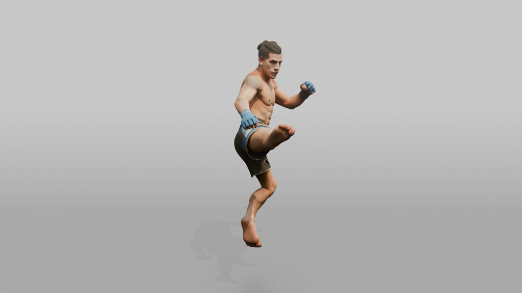 MMA Fighter Spinning Heel Kick