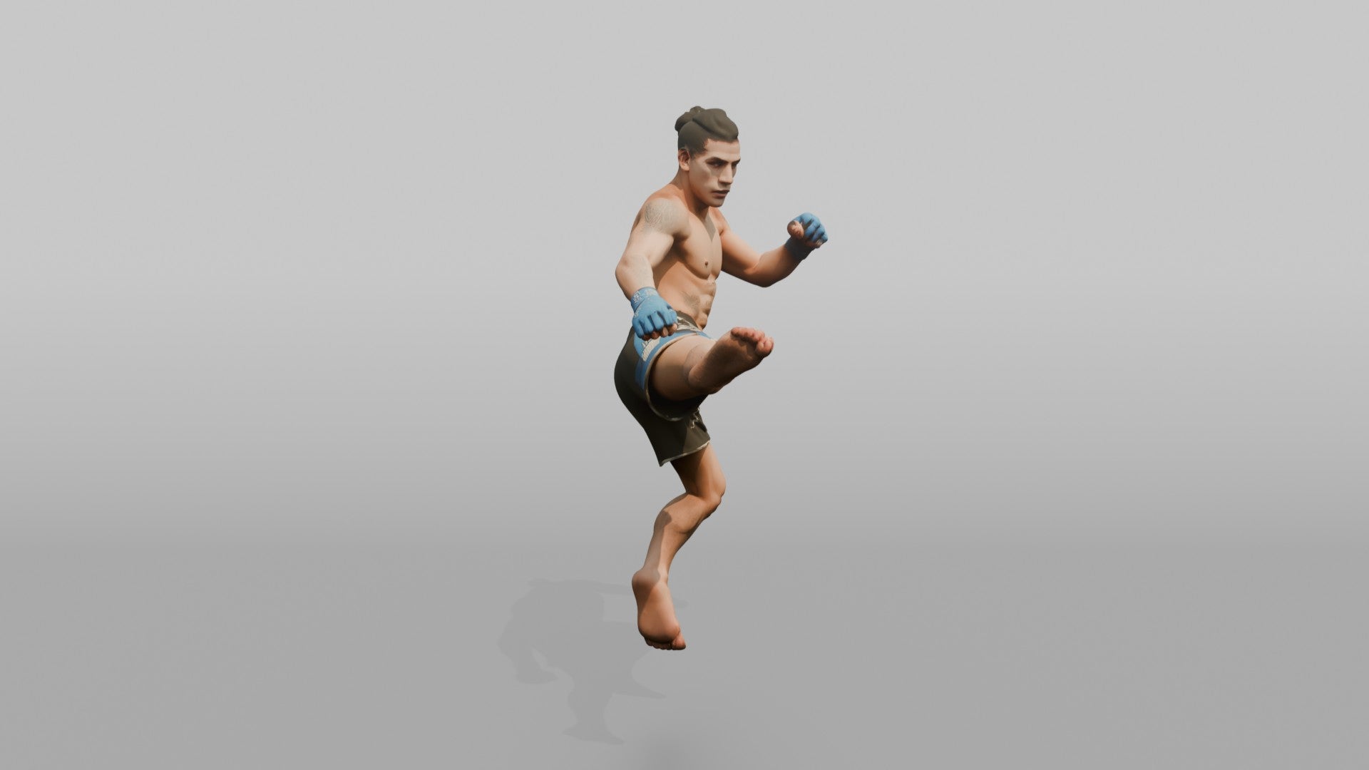 MMA Fighter Spinning Heel Kick