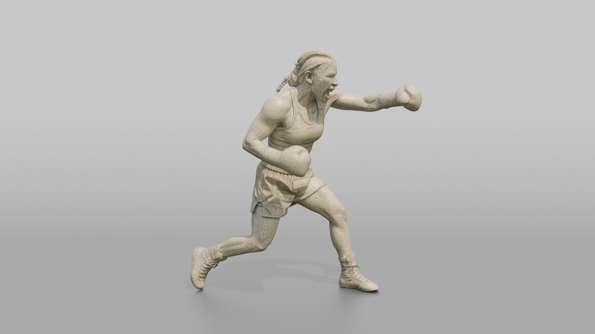 Boxer Rapid Left-Right Combination