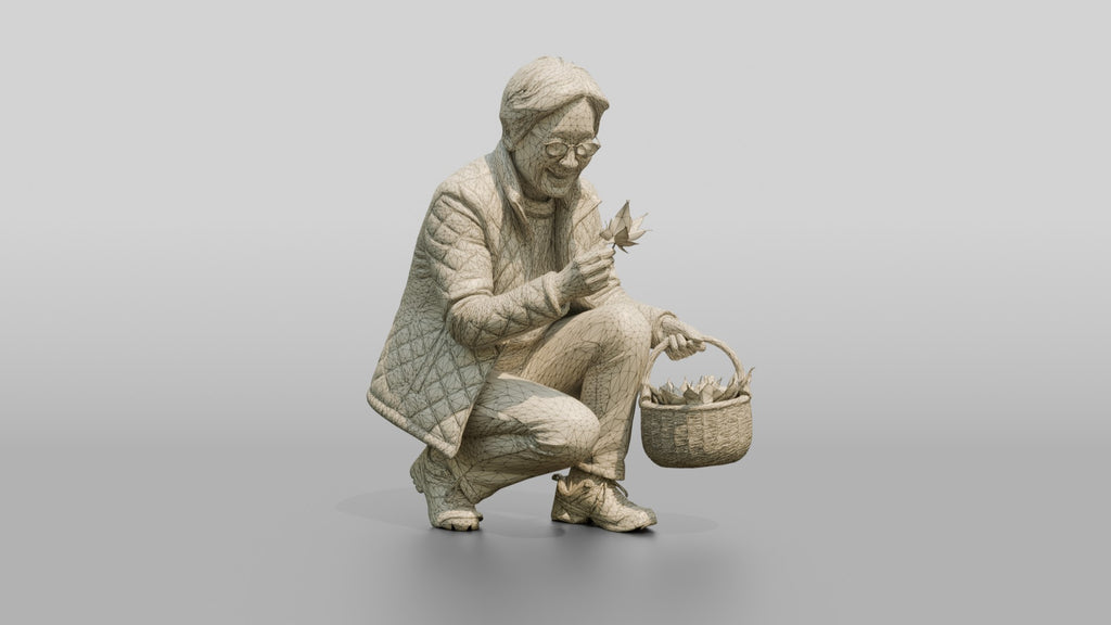 Elderly Chinese Woman Collecting Autumn Leaves