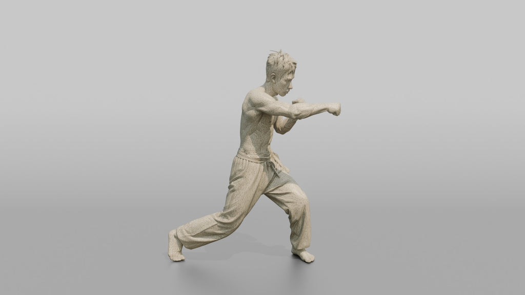 Wing Chun Fighter Rapid Chain-Punch Blitz