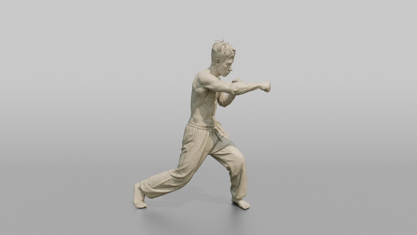 Wing Chun Fighter Rapid Chain-Punch Blitz