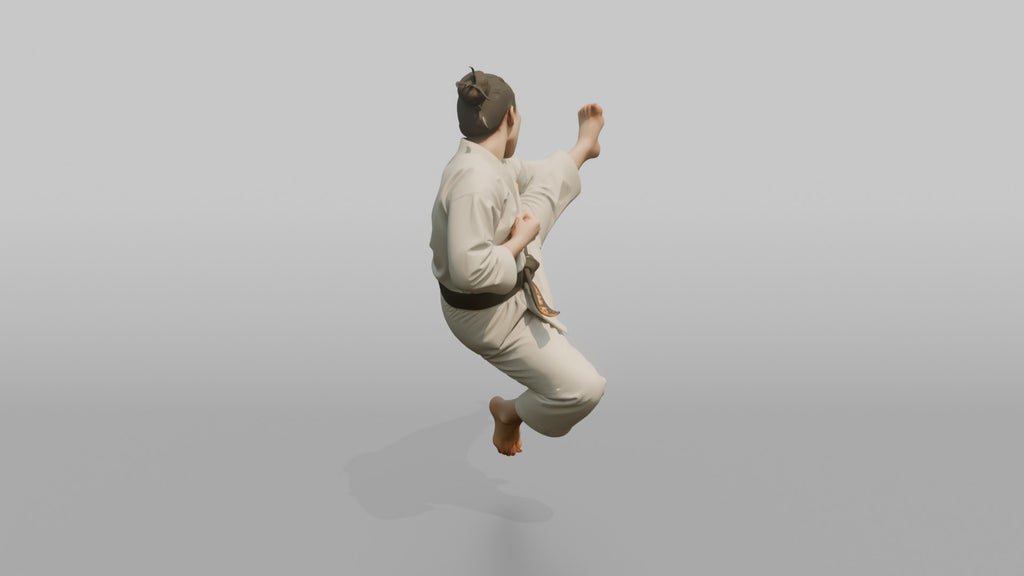 Karate Fighter Double Front Kick