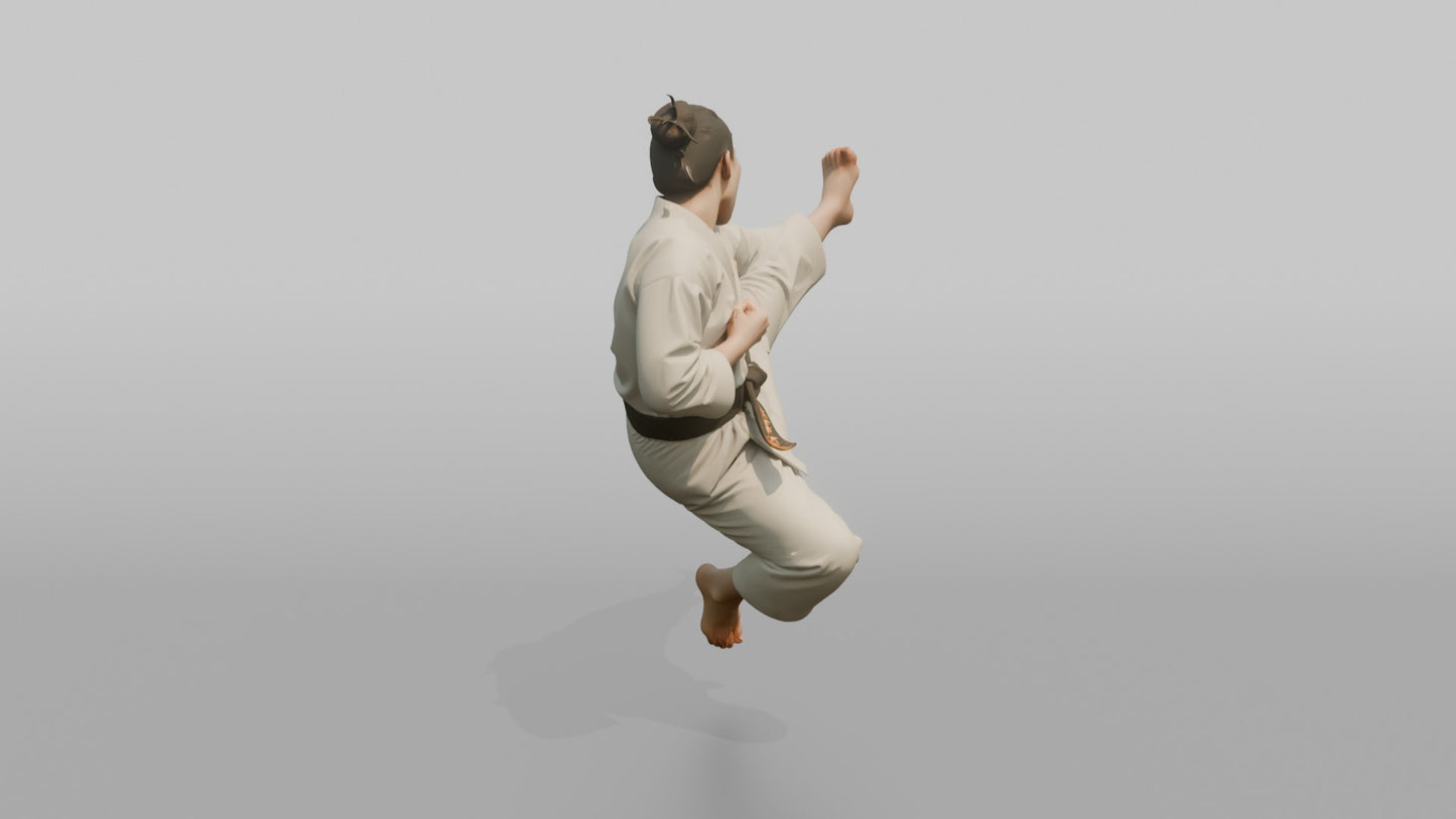 Karate Fighter Double Front Kick