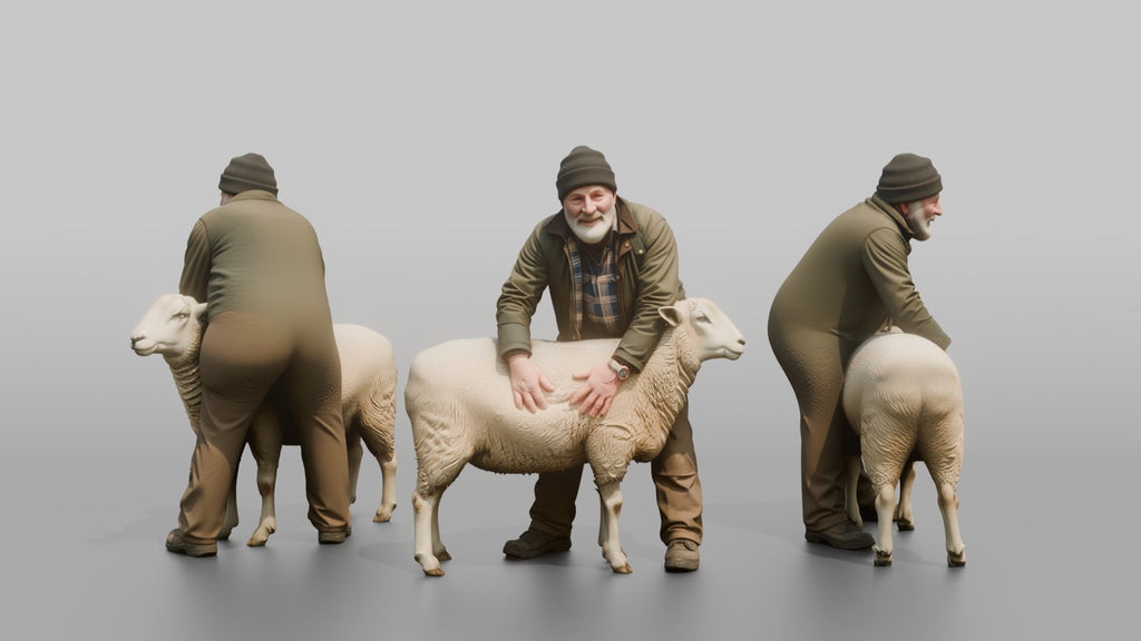Farmer Checking Sheep's Wool Density