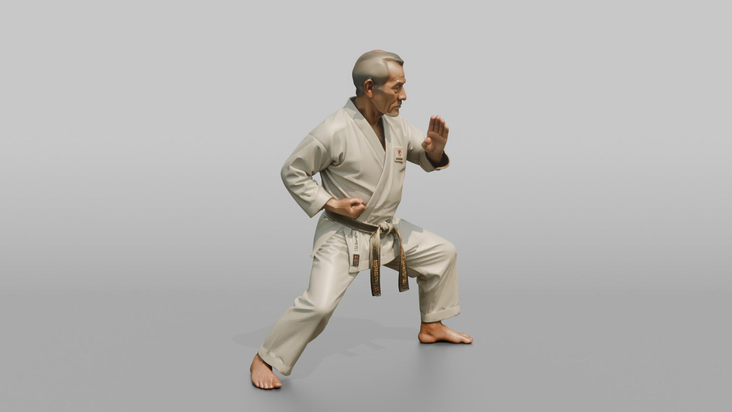 Karate Master Knife-Hand Block