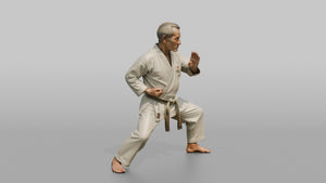 Karate Master Knife-Hand Block - 3D character model, view 1