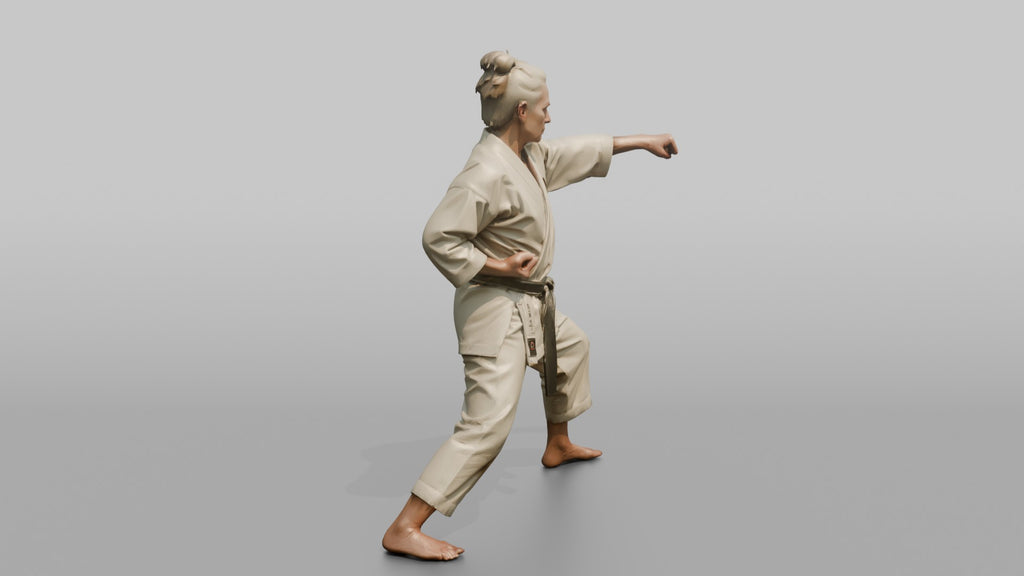 Karate Sensei Explosive Reverse Punch