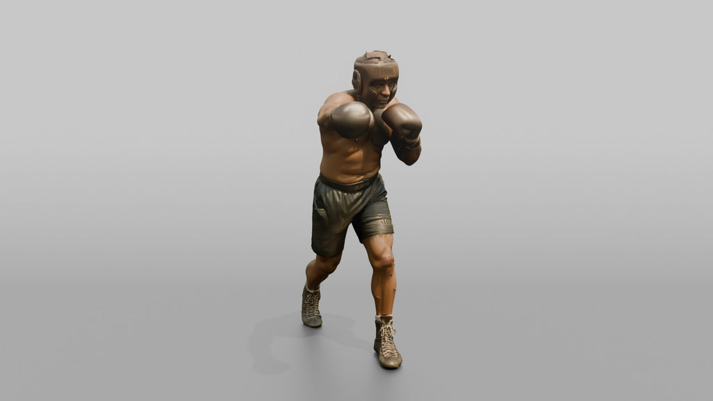 Boxer Measured Left Jab