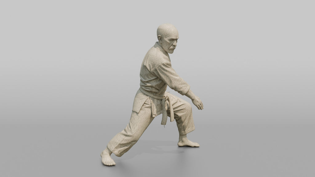 Karate Sensei Authoritative Downward Open-palm Block
